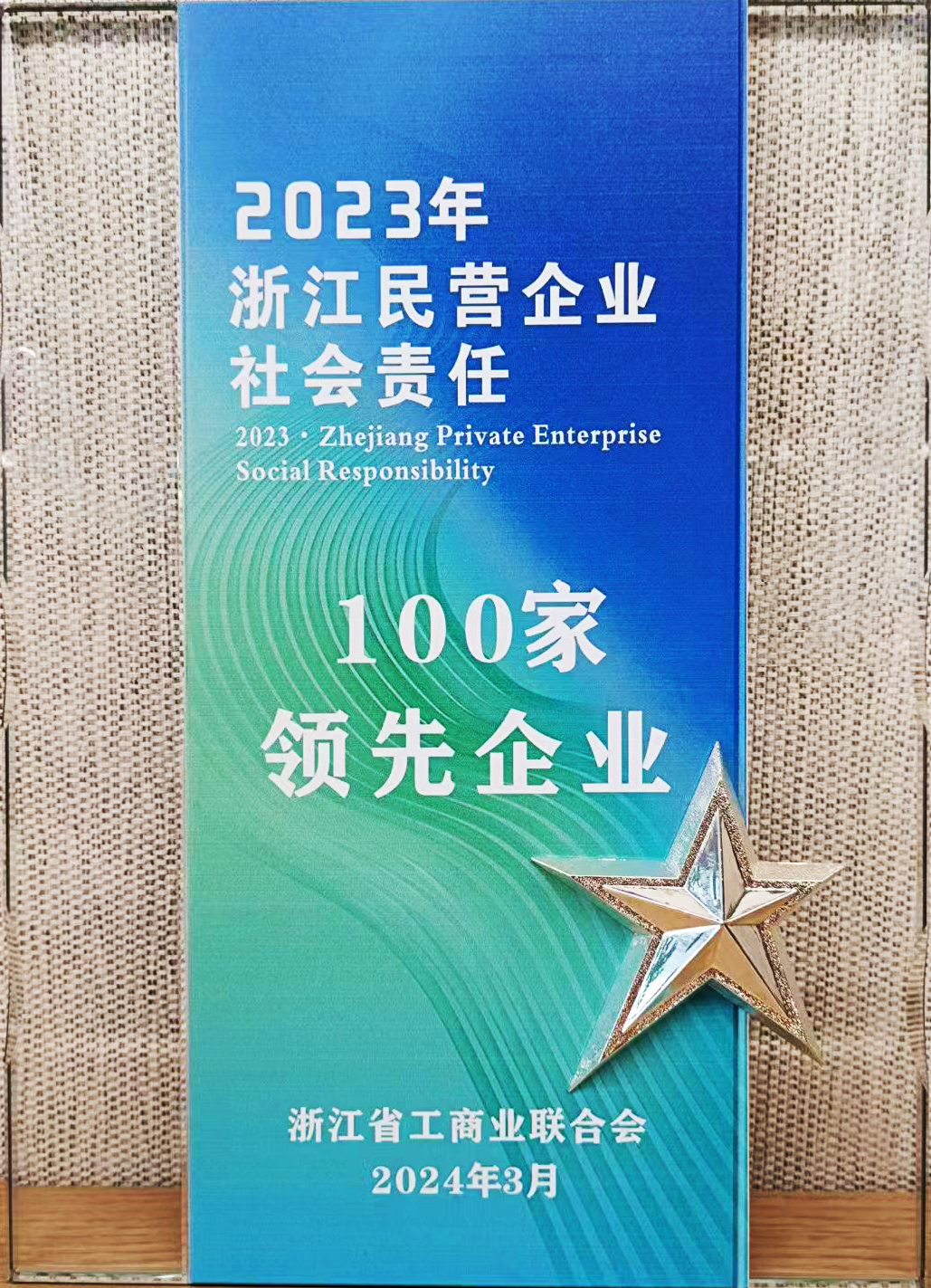 11.浙江民营企业社会责任100家领先企业